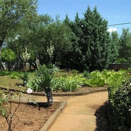 Dobrinj 2 Apartament *